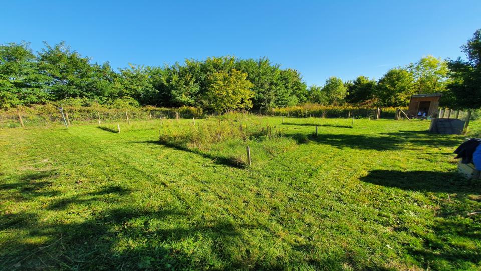 Parcelles sur le site de la Pierrefitte à Villeneuve-le-roi après 3 ans d’expérimentation