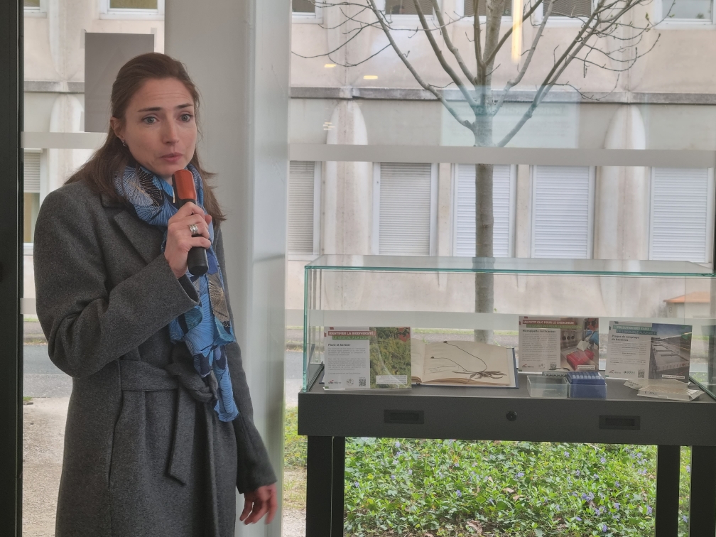 Exposition "La recherche en objetS" - Vitrine iEES Paris
