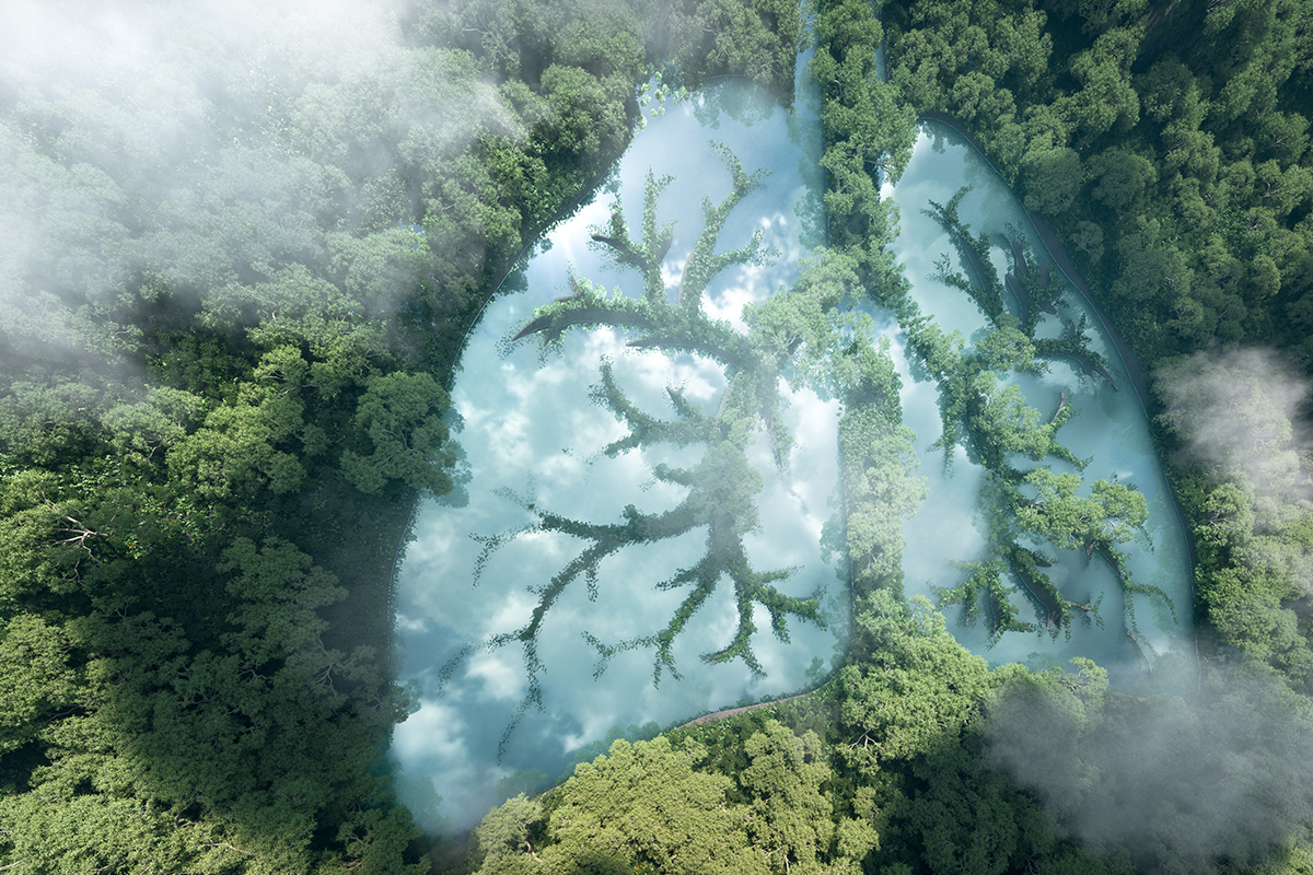 Visuel DIU Santé Environnement