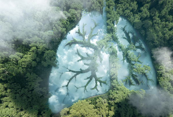 DIU Santé Environnement