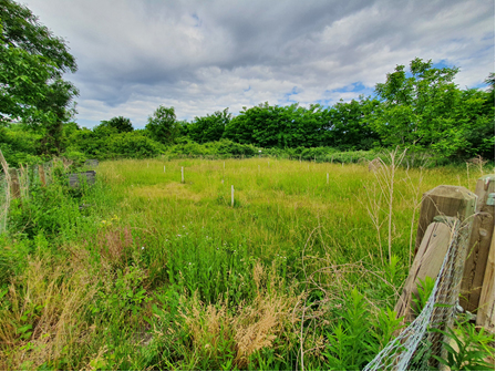 Obsolu, site de la Pierre-Fitte (Villeneuve-le-roi, 94)